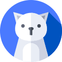 Animals/ Pets